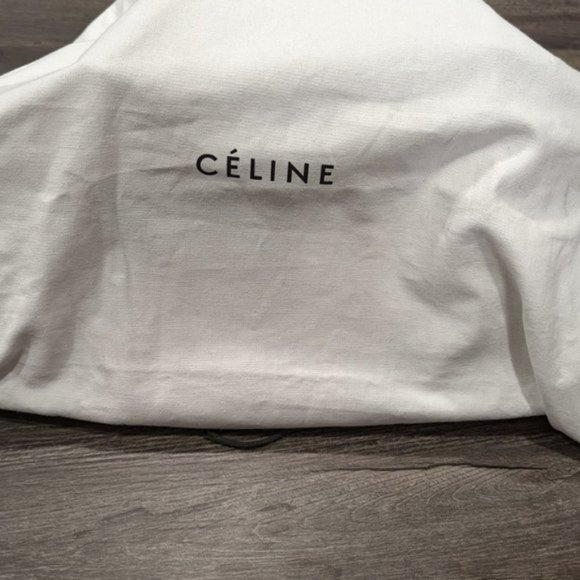 Celine Medium Python Trapeze Bag - Picture 2 of 16